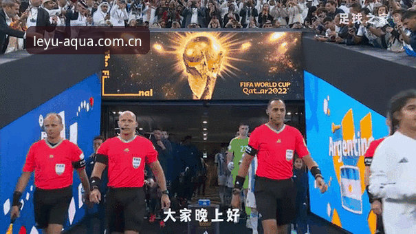 世界杯安保策略调整解读教程——在乐鱼体育平台深入了解赛事安保新动态