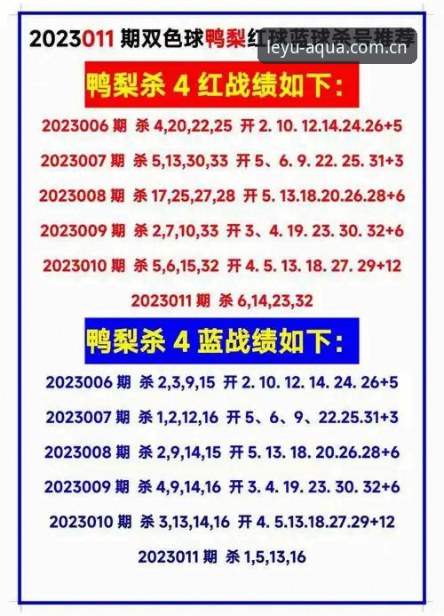 2025乐鱼数据刷新详解：新版APP与旧版兼容操作指南