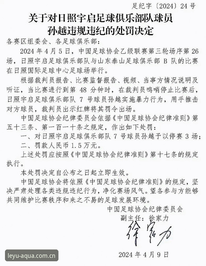 乐鱼界面简洁 揭秘足协第三批禁足名单:65人遭重罚,中国足球反腐背后的行业洗牌