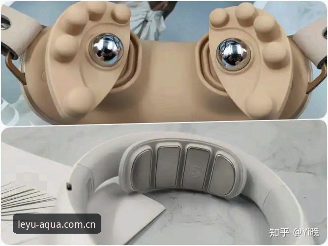 乐鱼体育平台品牌首页详解：从v3.1到v2.7的全维度体验分析